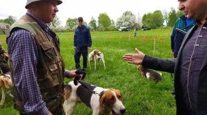 БЕЛАРУСЬ/ВЫСТАВКА РУССКО-ПЕГИХ ГОНЧИХ. ЭКСПЕРТ МИКУЛЕНОК В.С.