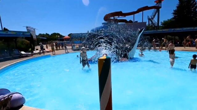 Аквапарк Дельфин Небуг Туапсинский район смотреть онлайн