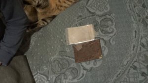 Прозрачные обложки на паспорт на каждую страницу