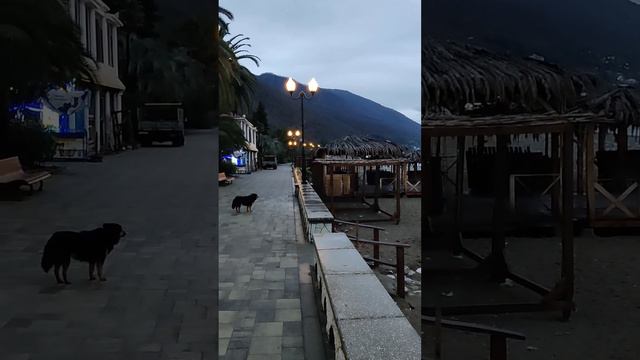 Чёрное море, Адлер, поездка в Абхазию, Зима 2023г