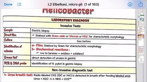 Micro Lec 3 GIT, GIT bacterial infection, H.Pylori, C.jejuni