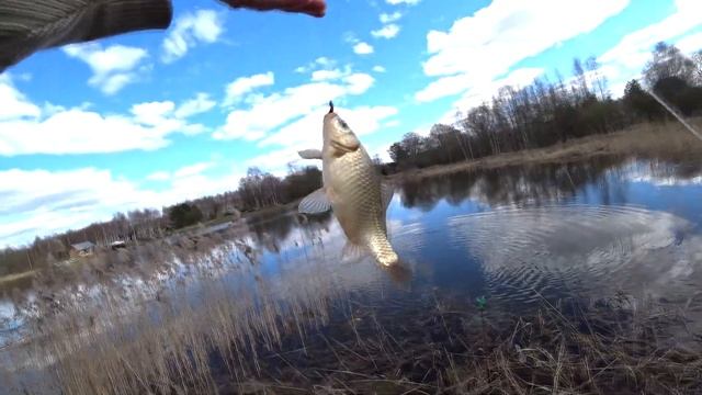 РЫБАЛКА НА КАРАСЯ В ТАЛДОМЕ 2021 СЕЗОН ОТКРЫЛ смотреть онлайн