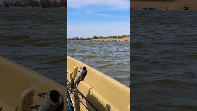 Рыбалка на воблу в Астрахани. Ездили за жерехом, на лодках все сидят на воблу.