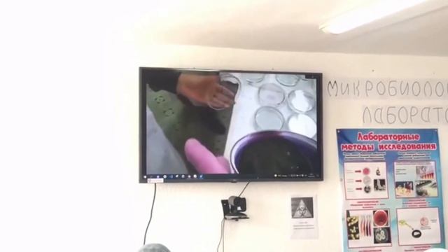 Внеклассное мероприятие по Микробиологии. Преподаватель Токтогул кызы Миргуль