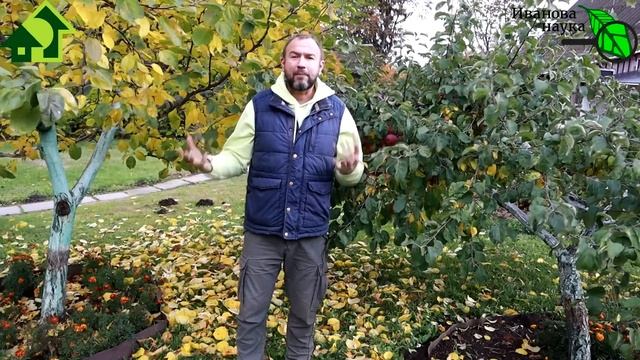 ЛУЧШИЕ СРОКИ и РЕЦЕПТЫ ИСКОРЕНЯЮЩЕЙ ОБРАБОТКИ САДА. Обработайте сад от болезней и вредителей.