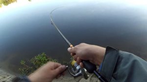 Клязьма | Ловля щуки на джиг с берега.