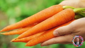 Carrots Health Benefits, Risks, and Surprising Facts! Carrot juice Cake Recipe