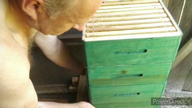 Развитие роя на голой вощине.Альпиец! смотреть онлайн