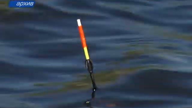 Погранслужба назвала запрещенные рыболовные снасти смотреть онлайн