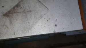 Холодная зимовка пчёл в сарае, полёт нормальный!!!