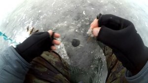 Крупный РОТАН по первому льду! Прикормка или активный поиск?!