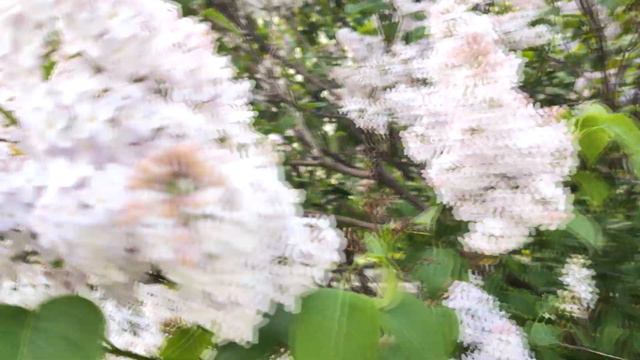 VLOG: Весна в Москве 2021 смотреть онлайн