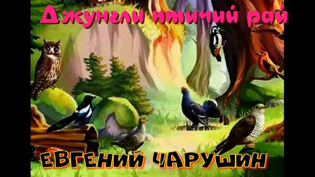 Джунгли — птичий рай —Евгений Чарушин —читает Павел Беседин смотреть онлайн