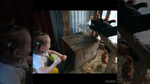 Наши любимые животные