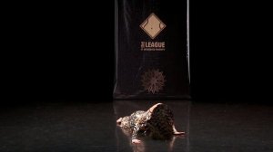 ВОСТОЧНЫЙ ТАНЕЦ / ИРАКИ / MODERN SONG IRAQI DANCE / НАТАЛЬЯ ЛИСЕЕВА