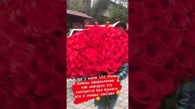РОЗЫ ФРИДОМ В ЖИВОМ ОФОРМЛЕНИИ
