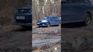 диагональ на ипсуме 4 вэдэ форева