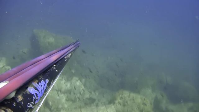 test sony cybershot tx7 смотреть онлайн