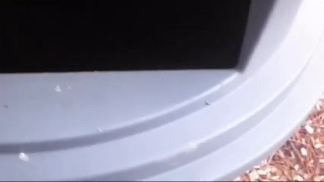 [Creepypasta] When you leave Toby and Masky alone смотреть онлайн