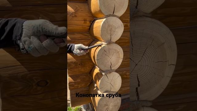 Конопатка сруба, конопатим после первого слоя покраски