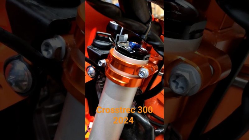 Regulmoto Crossrec 300 2024