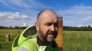 Можно ли заработать на пчеловодстве?