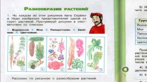 Окружающий мир. Рабочая тетрадь 3 класс 1 часть. ГДЗ стр. 39 №1