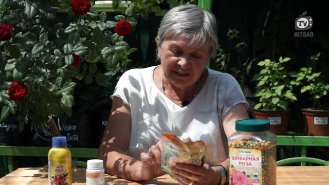 РОЗА ПЫШНО ЦВЕТЕТ ? Чем Подкормить Розу ? Советы От Хитсад ТВ дачные советы смотреть онлайн