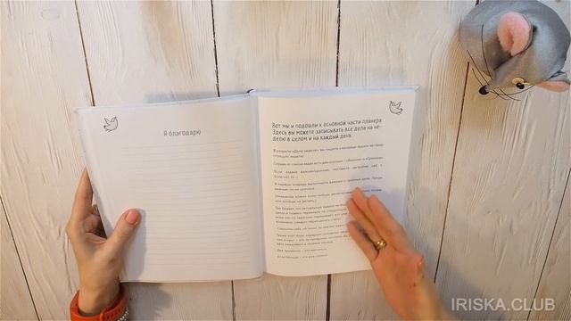 ПЛАНЕР "МАМА В БАЛАНСЕ" ПОЛНЫЙ ОБЗОР ВСЕХ СТРАНИЧЕК смотреть онлайн