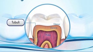 Oral-B | Tand Gevoeligheid - Oorzaken en behandeling