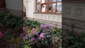 Весна в Раевском саду