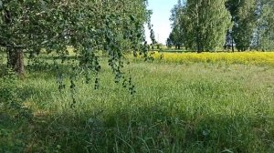 Кладбище Пугачёва