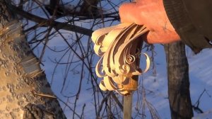 Как разжечь костер. Эвенкийская стружка для розжига.