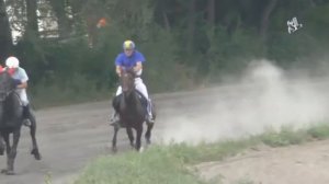 Рысь под седлом. Абаканский ипподром 2016 с/х