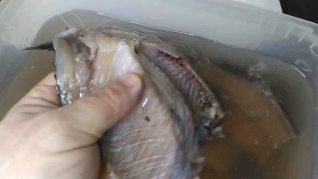 КАРАСЬ холодного копчения по казахски от ИГОРЯ в коптильне уэк смотреть онлайн