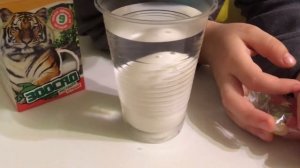 Как вырастить из яйца медведя? Обзор Зоосад растущая игрушка