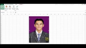 Cara Mengganti Background Foto di Excel