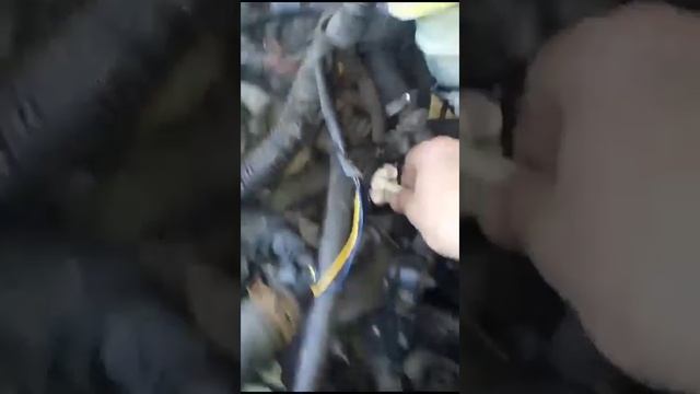 Перегревается двигатель CFNA Фольксваген Поло. Деформ. корп. термостата и термоэлемента с клапаном смотреть онлайн