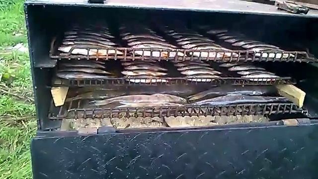 Горячее копчение речной рыбы.