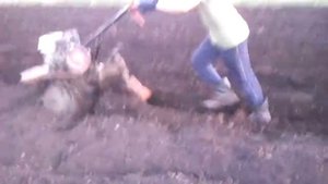 Нарезание борозды мотоблоком для посадки картофеля