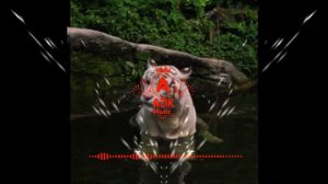 Kalashnikov mp3 tiktokda Trent qoʻshiqlar Калашников мп3 тиктокда трент кушиклар