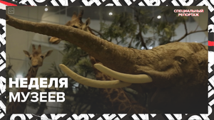 Музейная неделя в Москве — Москва24 | Контент