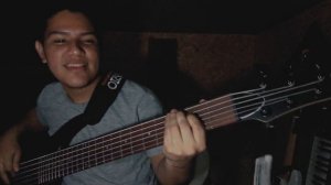 Contrabaixo Ibanez SR 306 EB WK