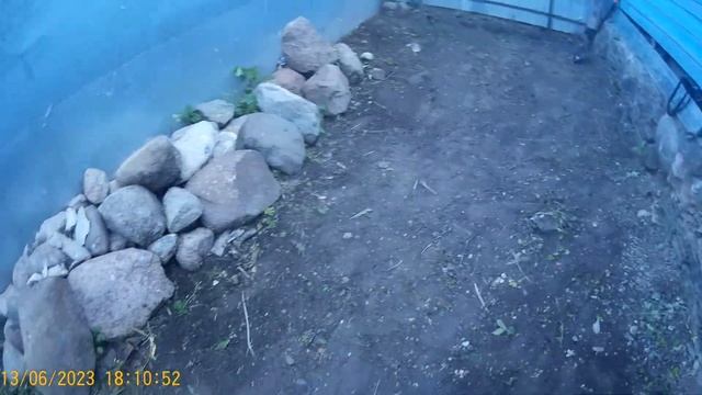 Строительство самодельной парусной яхты . Часть 1- подготовка места для строительства верфи .