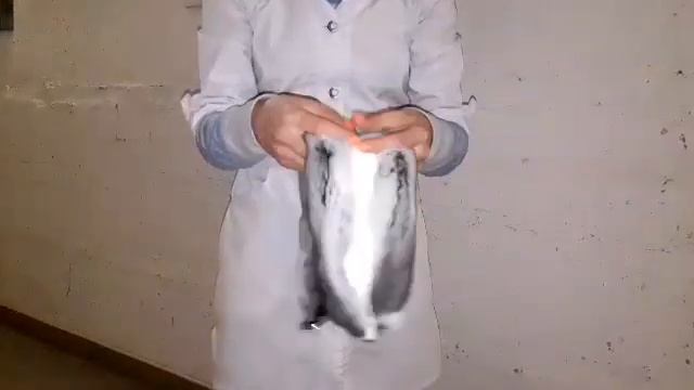 Шиншилловый мех.Отличие вычиненной шкуры и сырой | Chinchilla.Fur.Ukraine смотреть онлайн