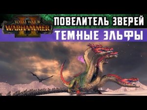 Темные Эльфы - Инструктаж Повелителя зверей Total War WARHAMMER 2 (с переводом на русский)
