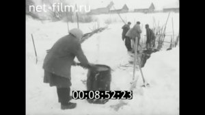 1986г. деревня Холынья Новгородская обл