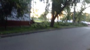 Москва последствия урагана марьина роща 13 июля 2016