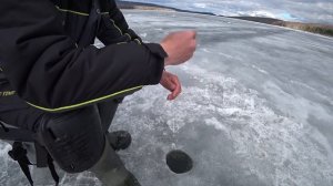 НА МОРМЫШКУ БЕЗ НАСАДКИ. РЫБАЛКА НА БЕЗМОТЫЛКУ