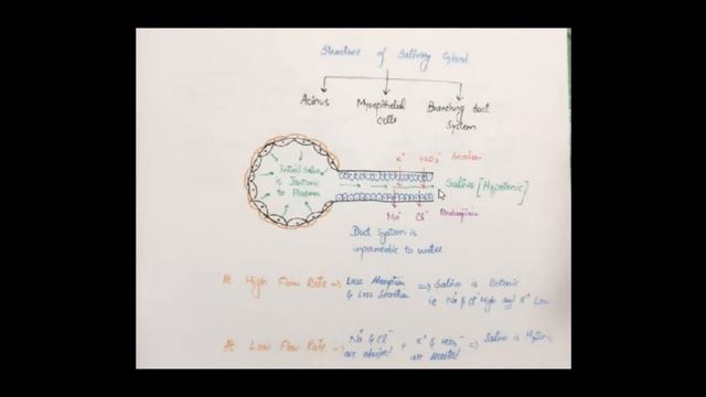 GIT SECRETIONS SALIVA смотреть онлайн
